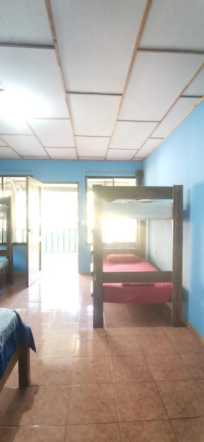 Allegra Hostel Drake Bay ภายนอก รูปภาพ
