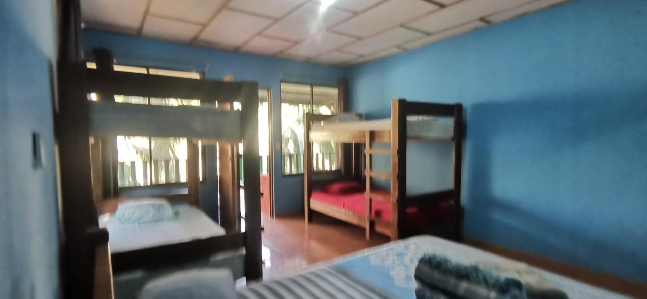 Allegra Hostel Drake Bay ภายนอก รูปภาพ