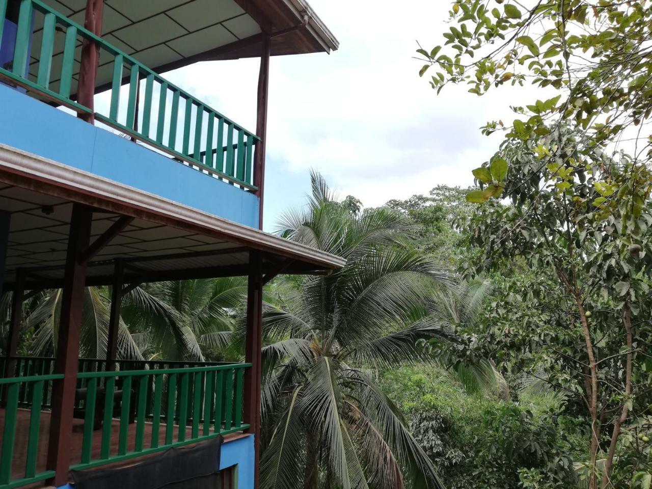 Allegra Hostel Drake Bay ภายนอก รูปภาพ